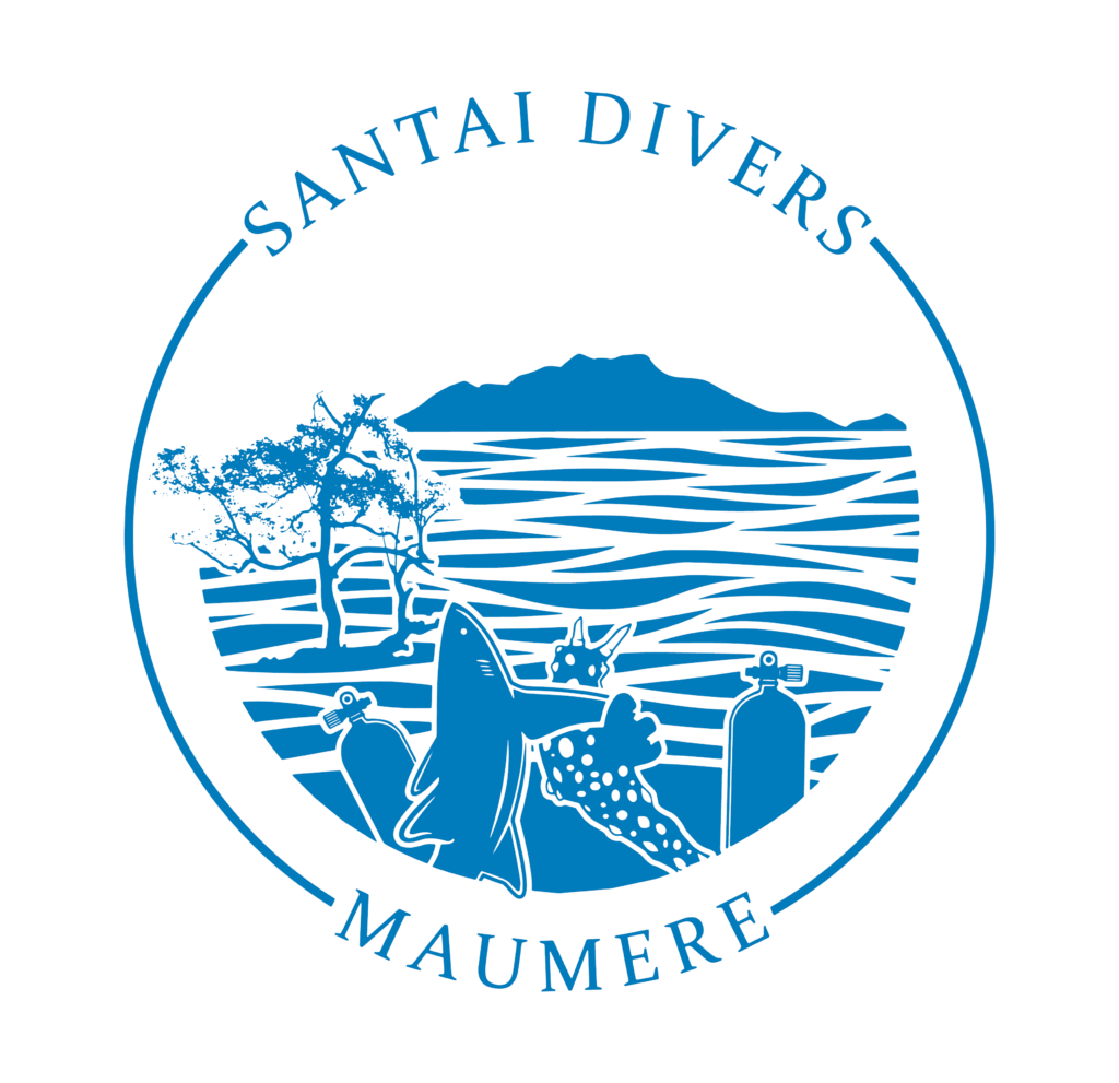 Santai Divers logo, shark and nudibranch ready to go diving