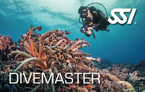 SSI divemaster cetrification card