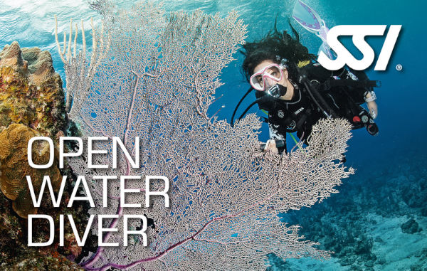 open water SSI course certification card