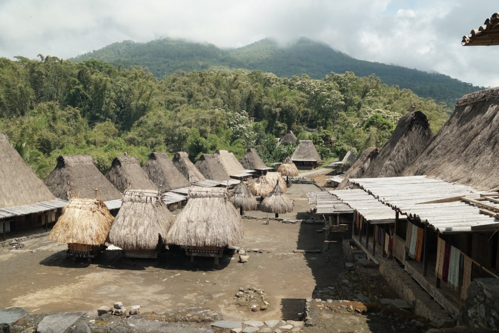 traditional Bena village