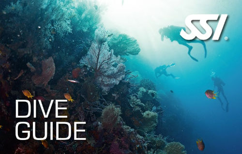 dive guide SSI program certification card