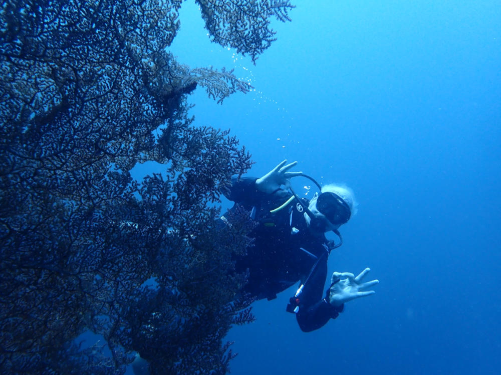 happy diver behind a sea fan